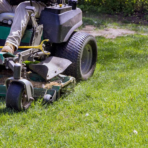 Working lawn mower on green lawn